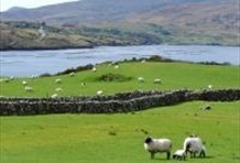 Connemara Day Tour